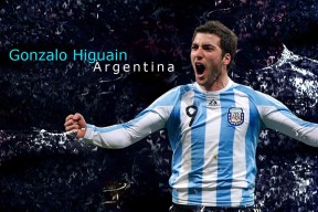 逆境中的斗士：面对逆境的最强反击！，逆境ナイン