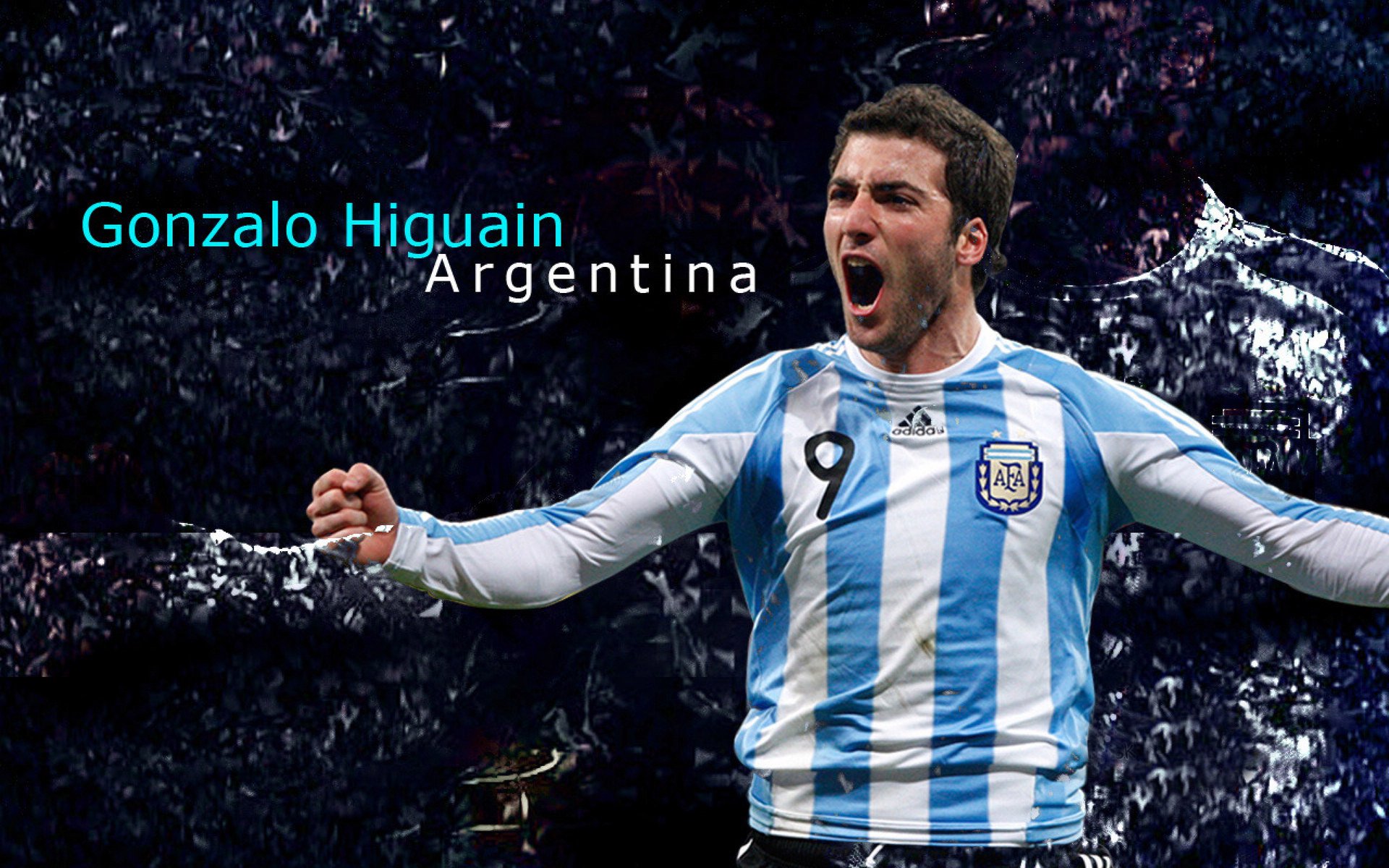 张伟丽与拳迷互动现场气氛热烈，张伟丽的拳击生涯